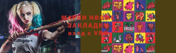 индика Аркадак