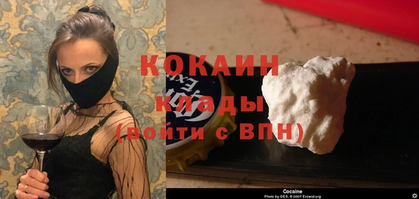 индика Аркадак