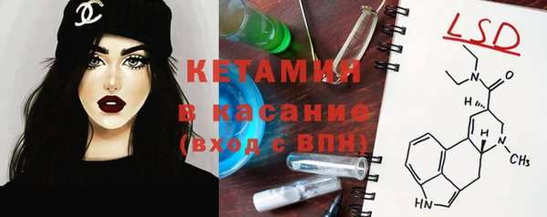 индика Аркадак