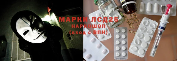 индика Аркадак