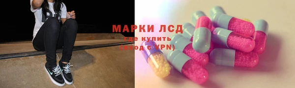 индика Аркадак