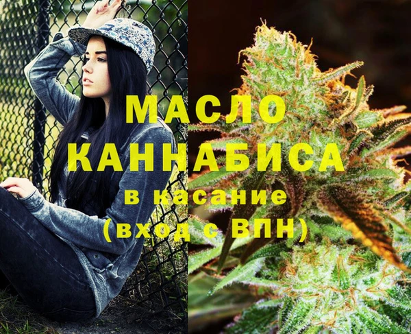 индика Аркадак