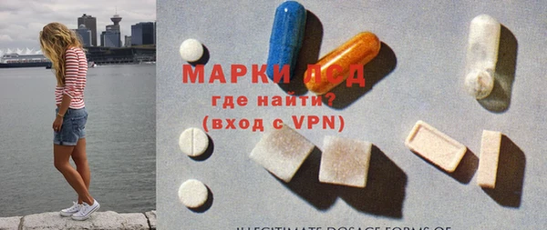 индика Аркадак